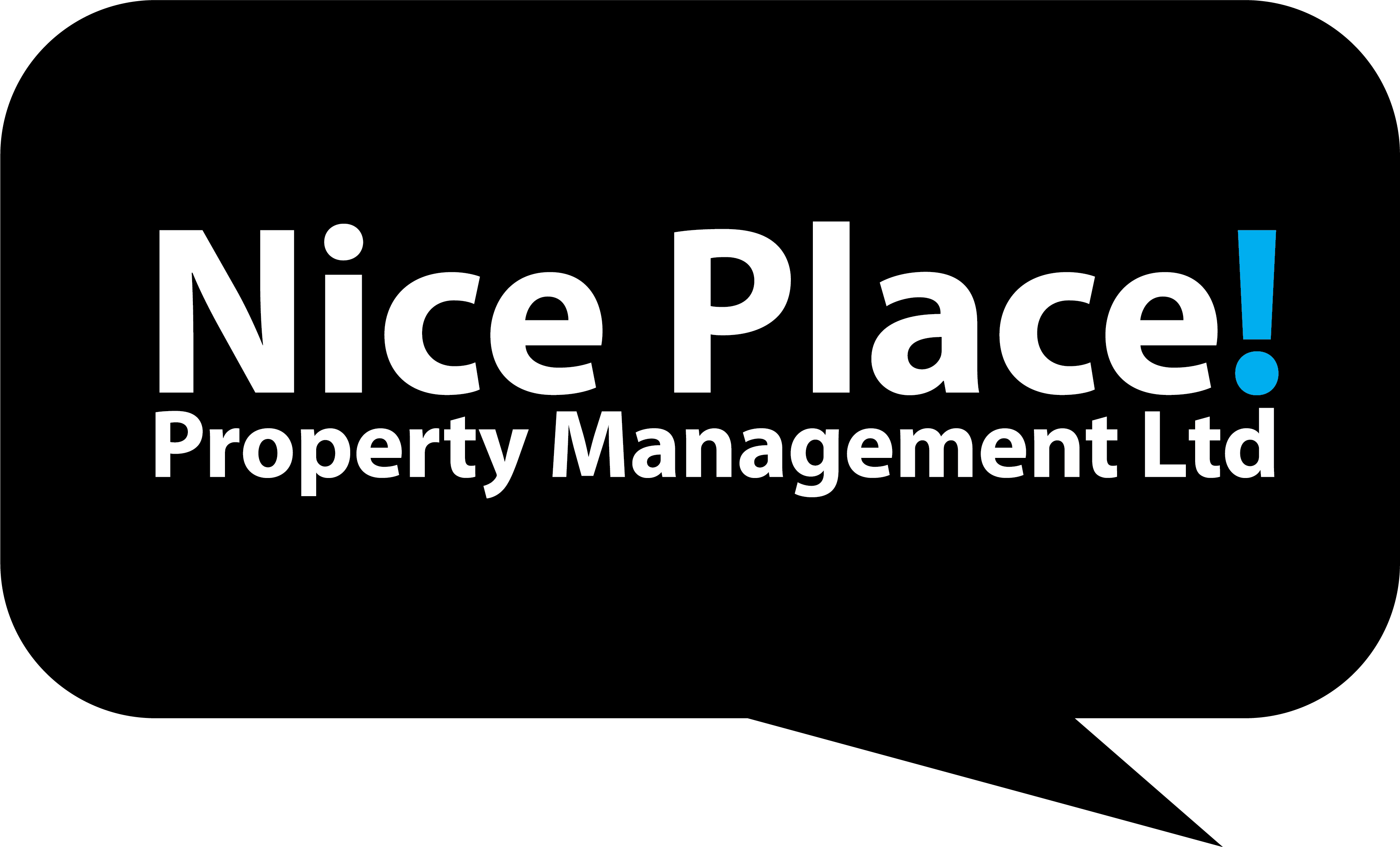 Nice Place Property Management – Logo